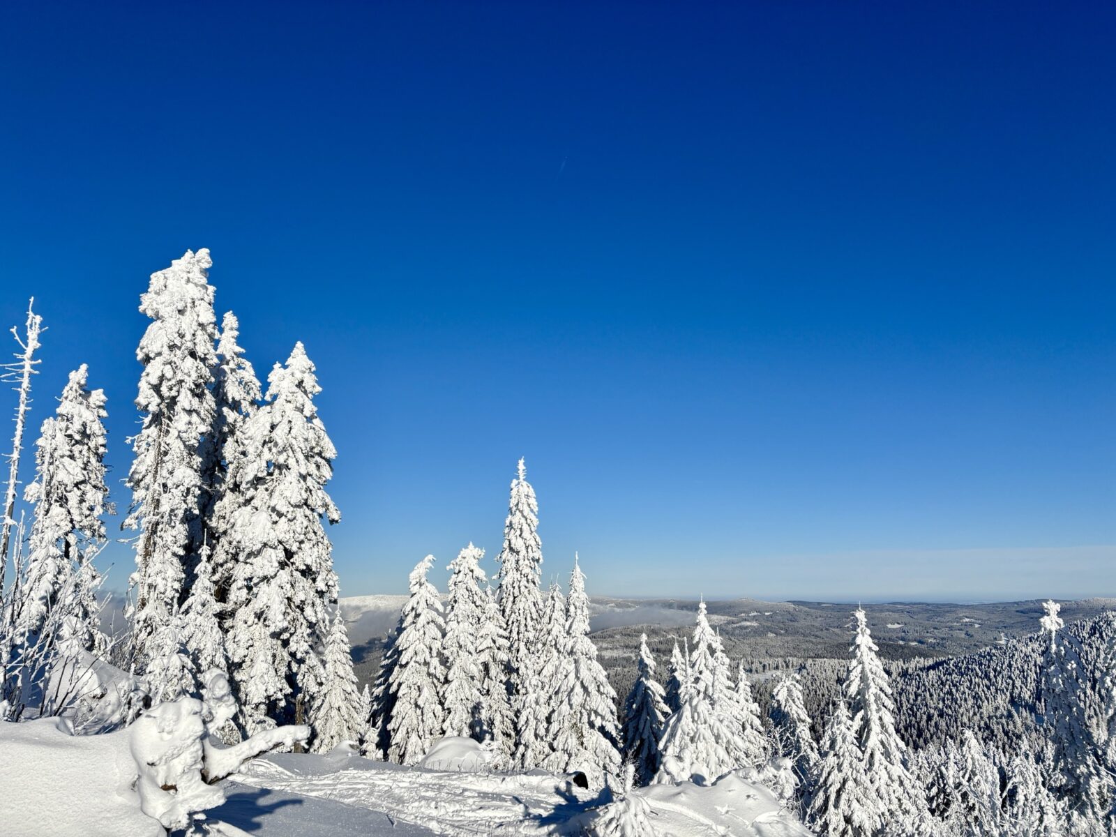 Schneeschuhwandern im Bayrischen Wald: Charmer Hütte und Kleiner Arber