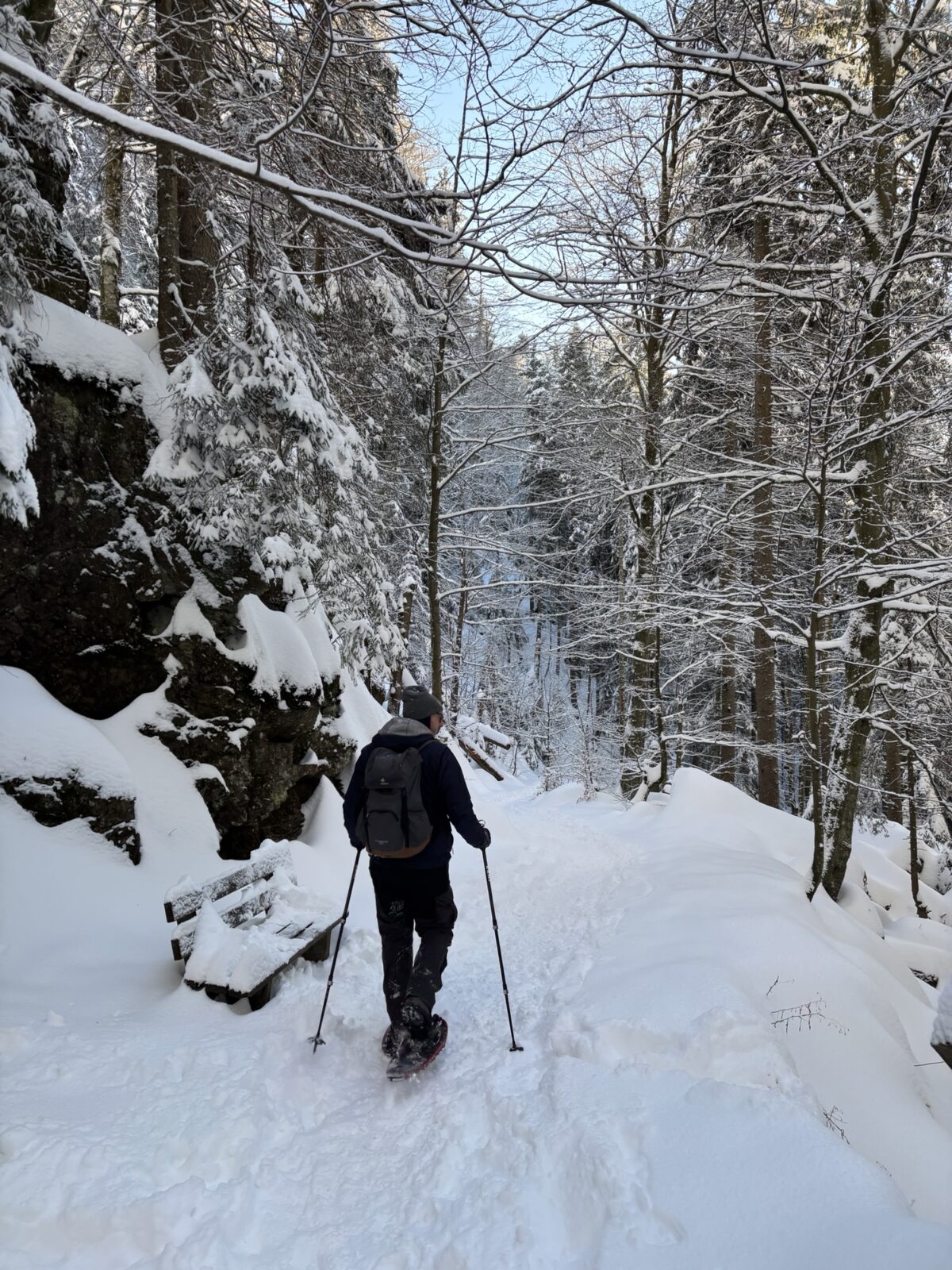 Schneeschuhwandern im Bayrischen Wald: Charmer Hütte und Kleiner Arber