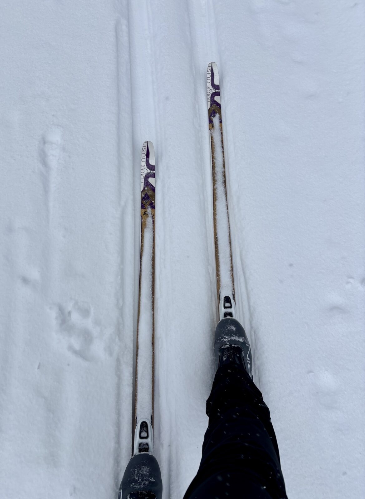 Langlauf im Bayerischen Wald: Aktivzentrum Bretterschachten