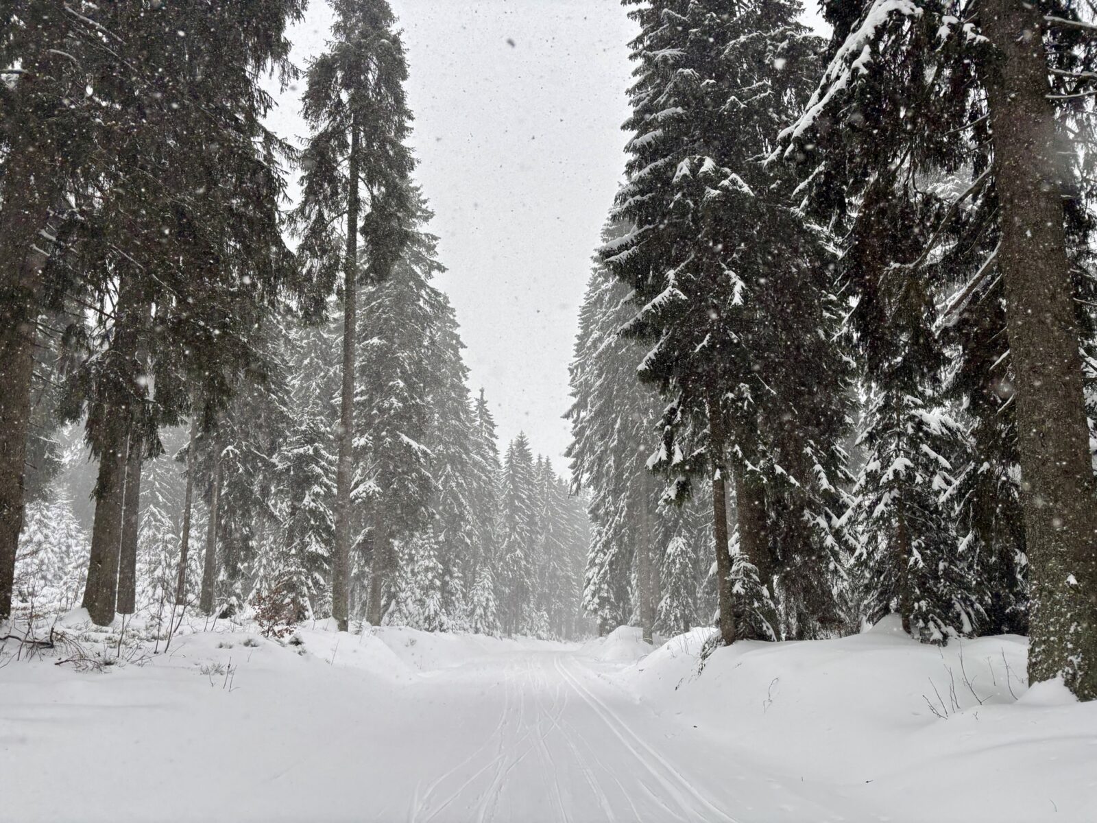 Langlauf im Bayerischen Wald: Aktivzentrum Bretterschachten