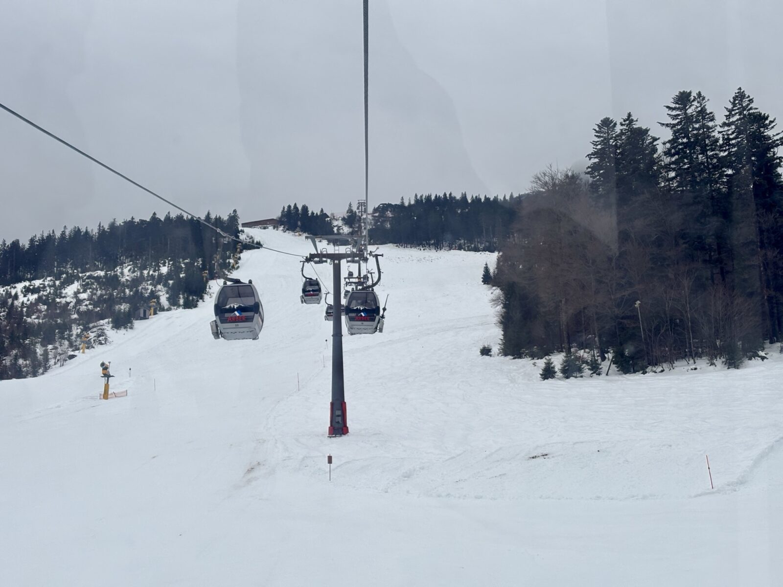 Unterwegs im Bayerischen Wald: Mit der Gondel auf den Arber