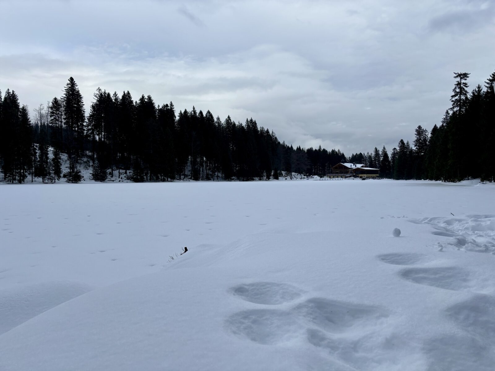Wandern im Bayerischen Wald: Rund um den Arbersee