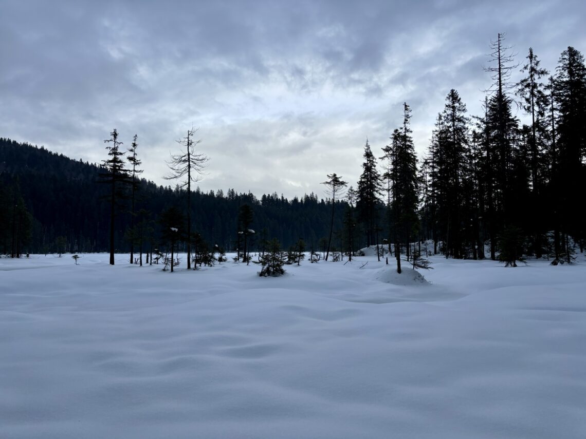 Wandern im Bayerischen Wald: Rund um den Arbersee