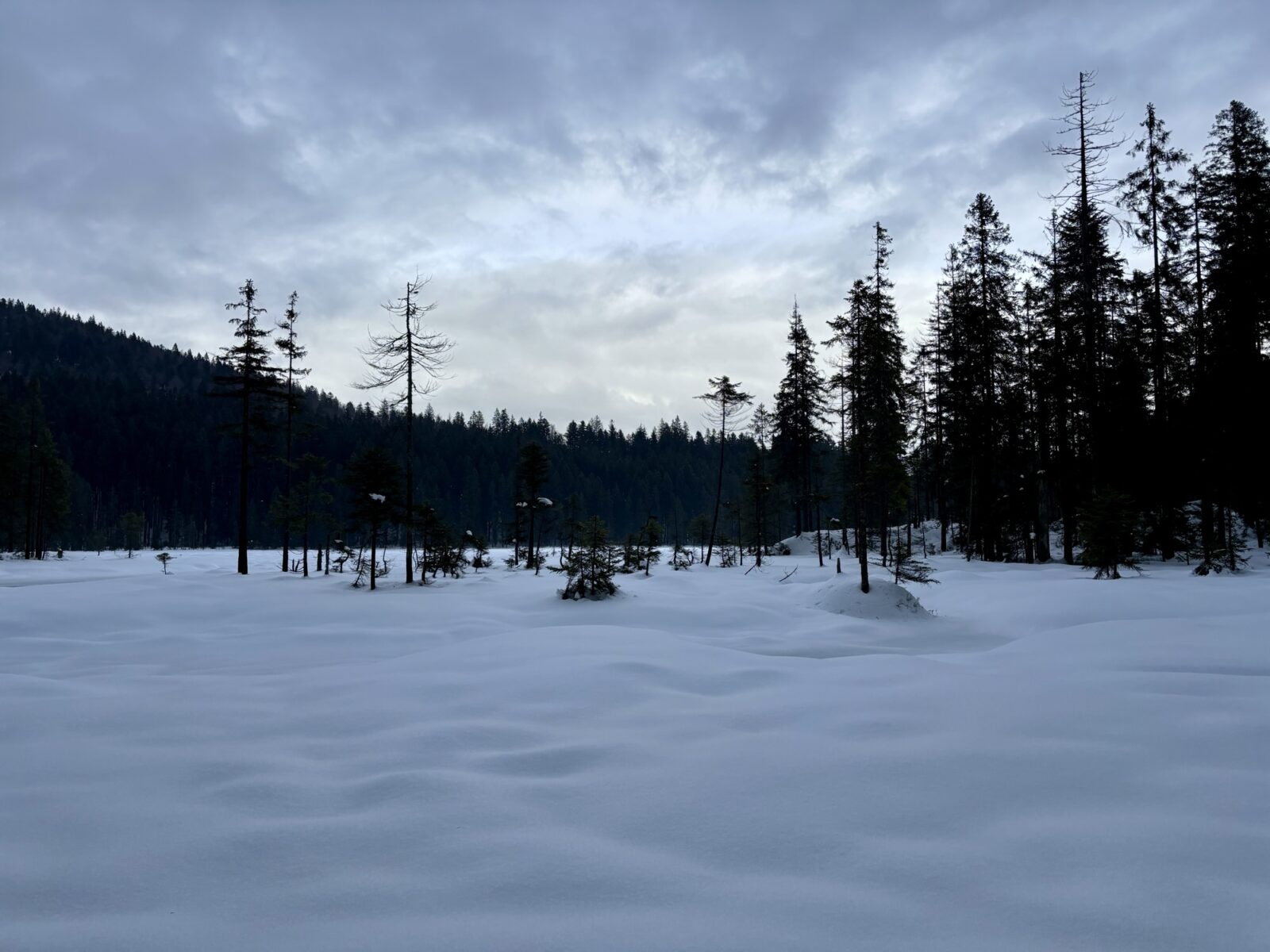 Wandern im Bayerischen Wald: Rund um den Arbersee