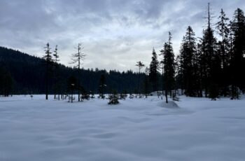 Wandern im Bayerischen Wald: Rund um den Arbersee