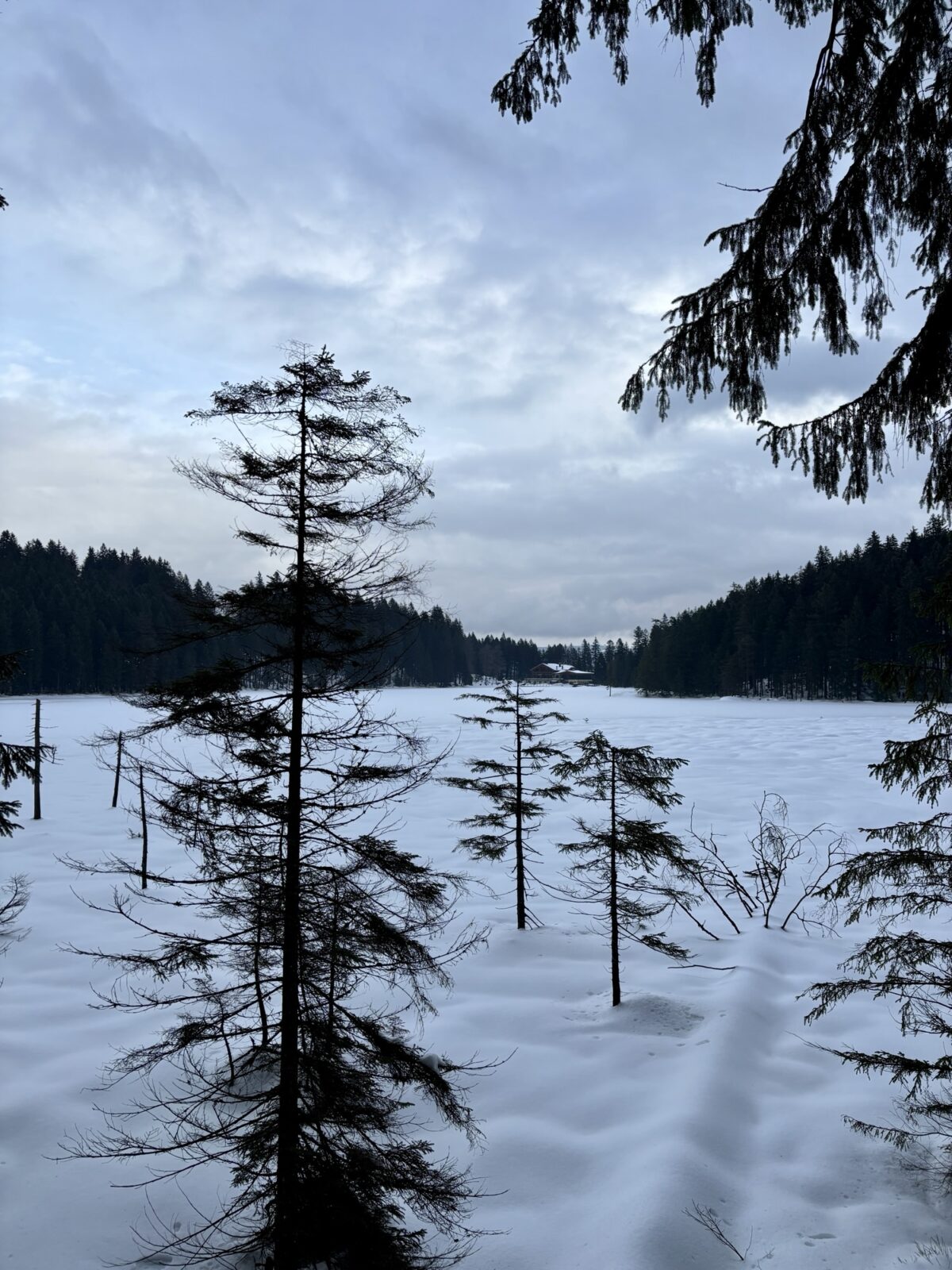 Wandern im Bayerischen Wald: Rund um den Arbersee