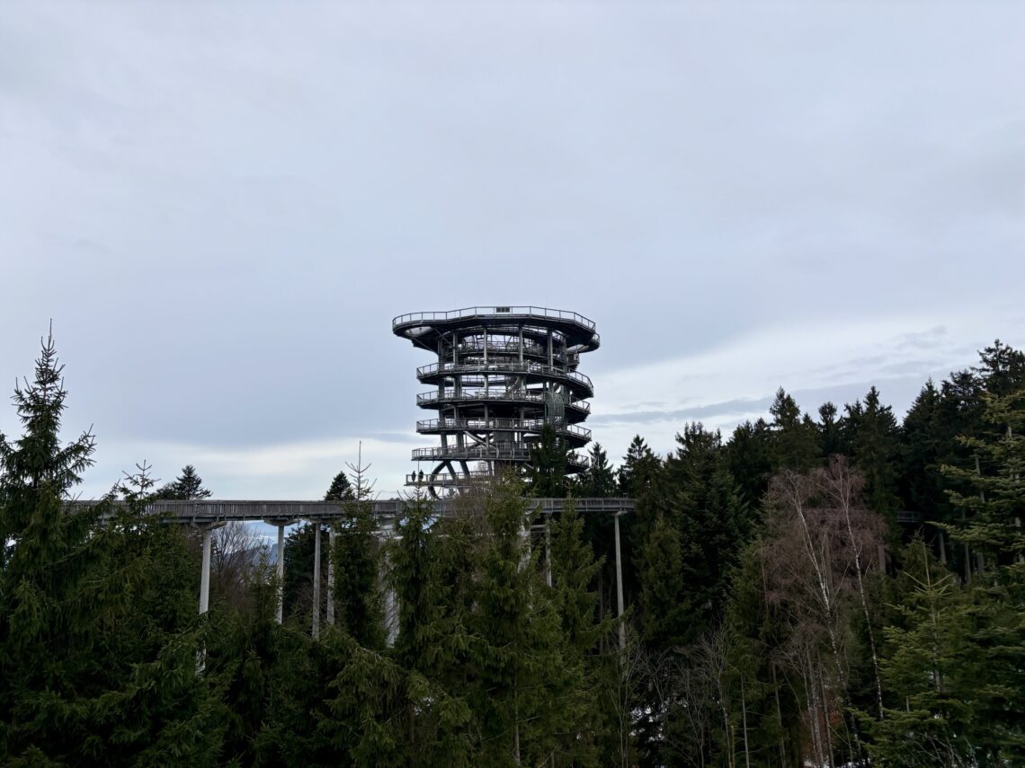 Unterwegs im Bayerischen Wald: Waldwipfelweg in St. Englmar
