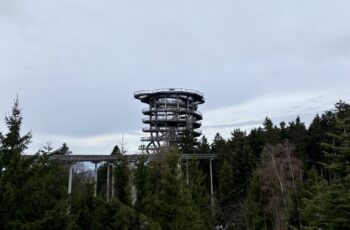 Unterwegs im Bayerischen Wald: Waldwipfelweg in St. Englmar