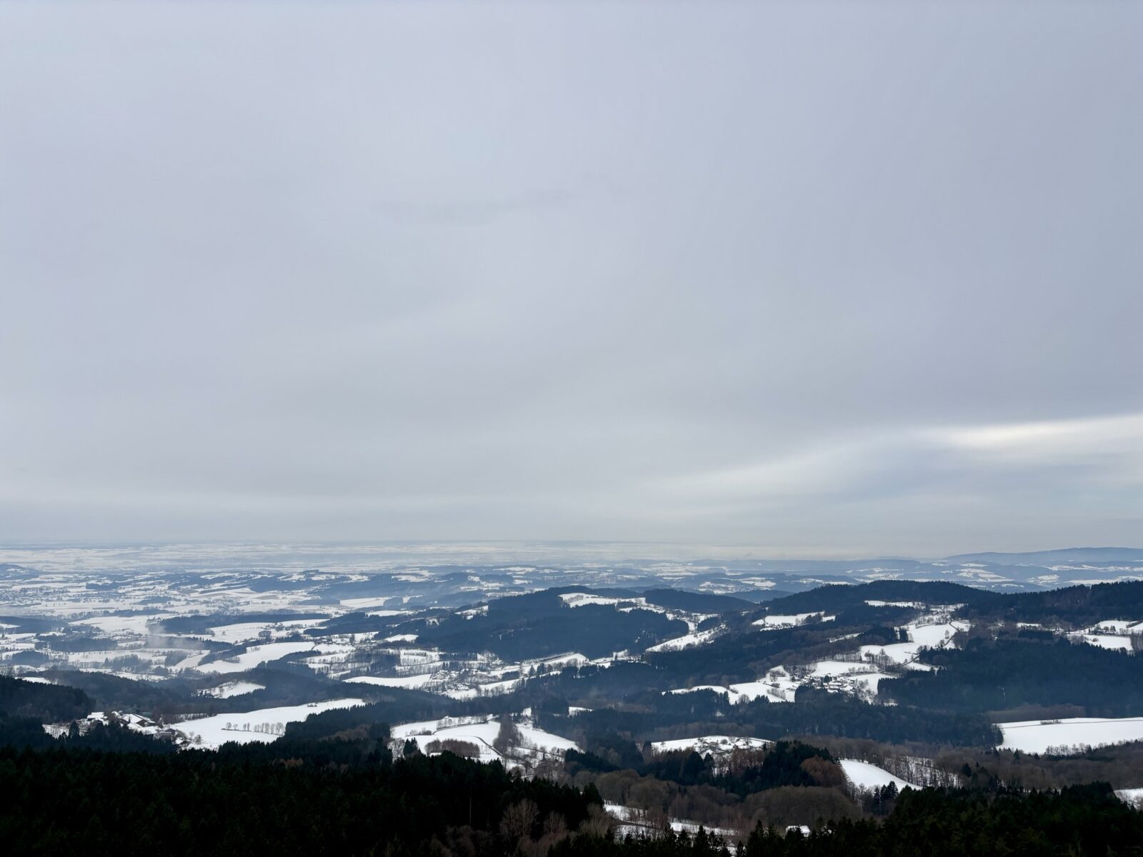 Unterwegs im Bayerischen Wald: Waldwipfelweg in St. Englmar