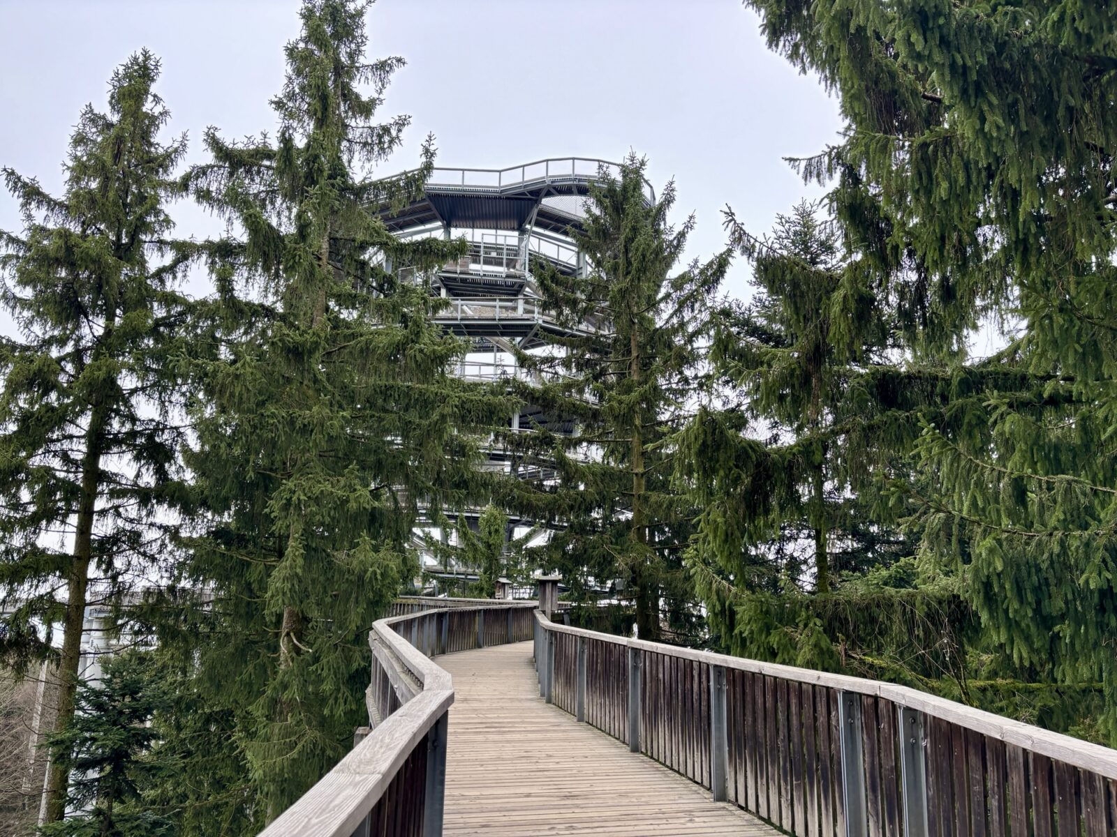 Unterwegs im Bayerischen Wald: Waldwipfelweg in St. Englmar