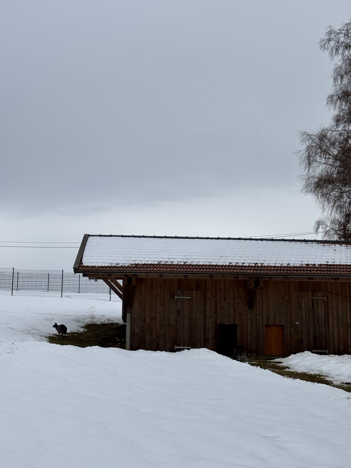 Unterwegs im Bayerischen Wald: Waldwipfelweg in St. Englmar