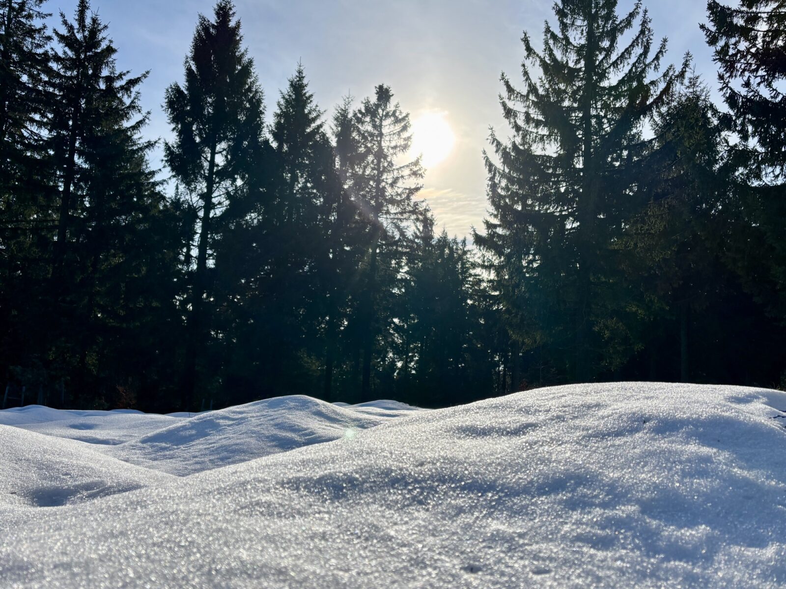 Wandern im Bayerischen Wald: Predigtstuhl und Knogl