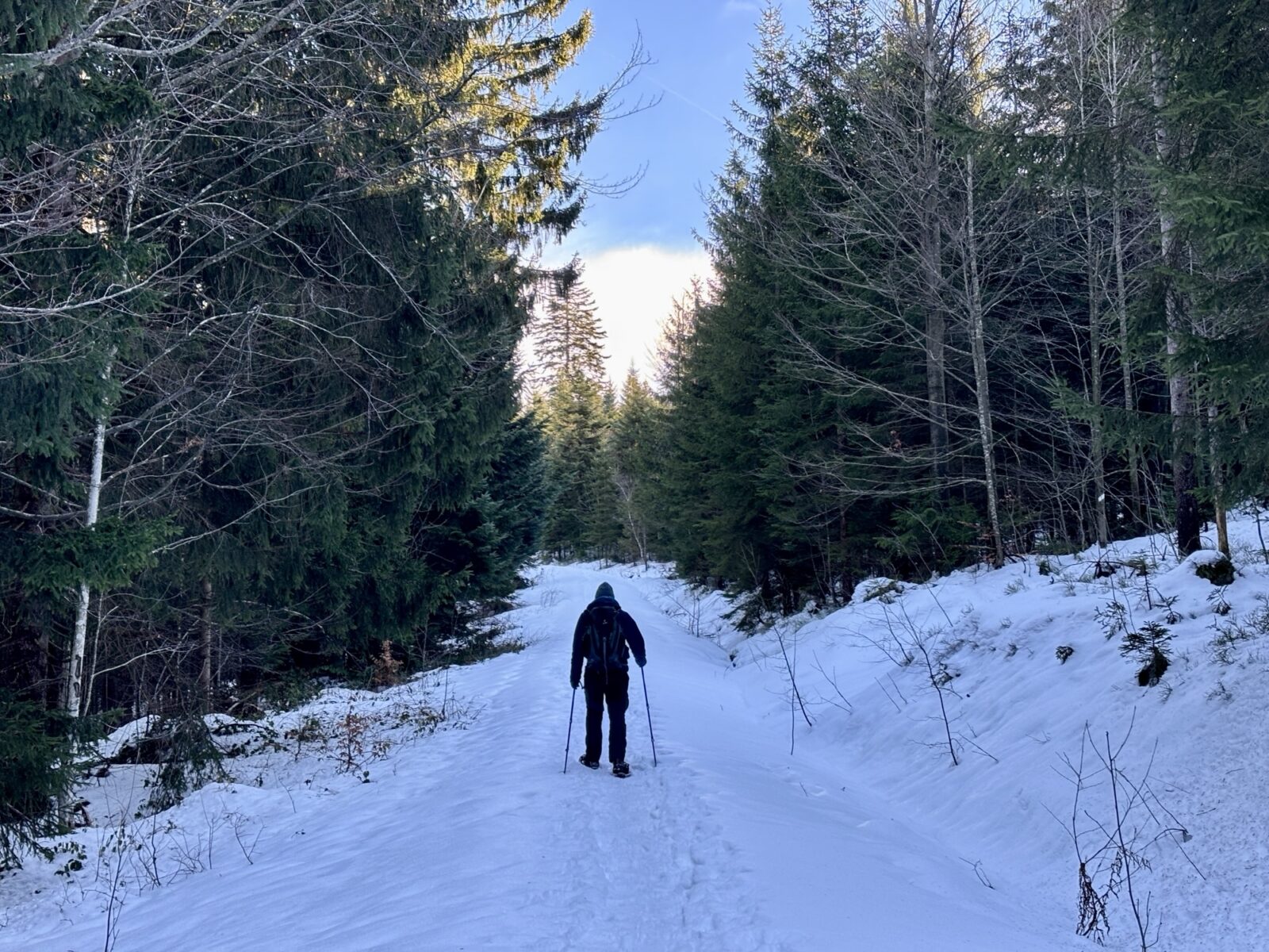 Schneeschuhwandern im Bayerischen Wald: Silberberg bei Bodenmais