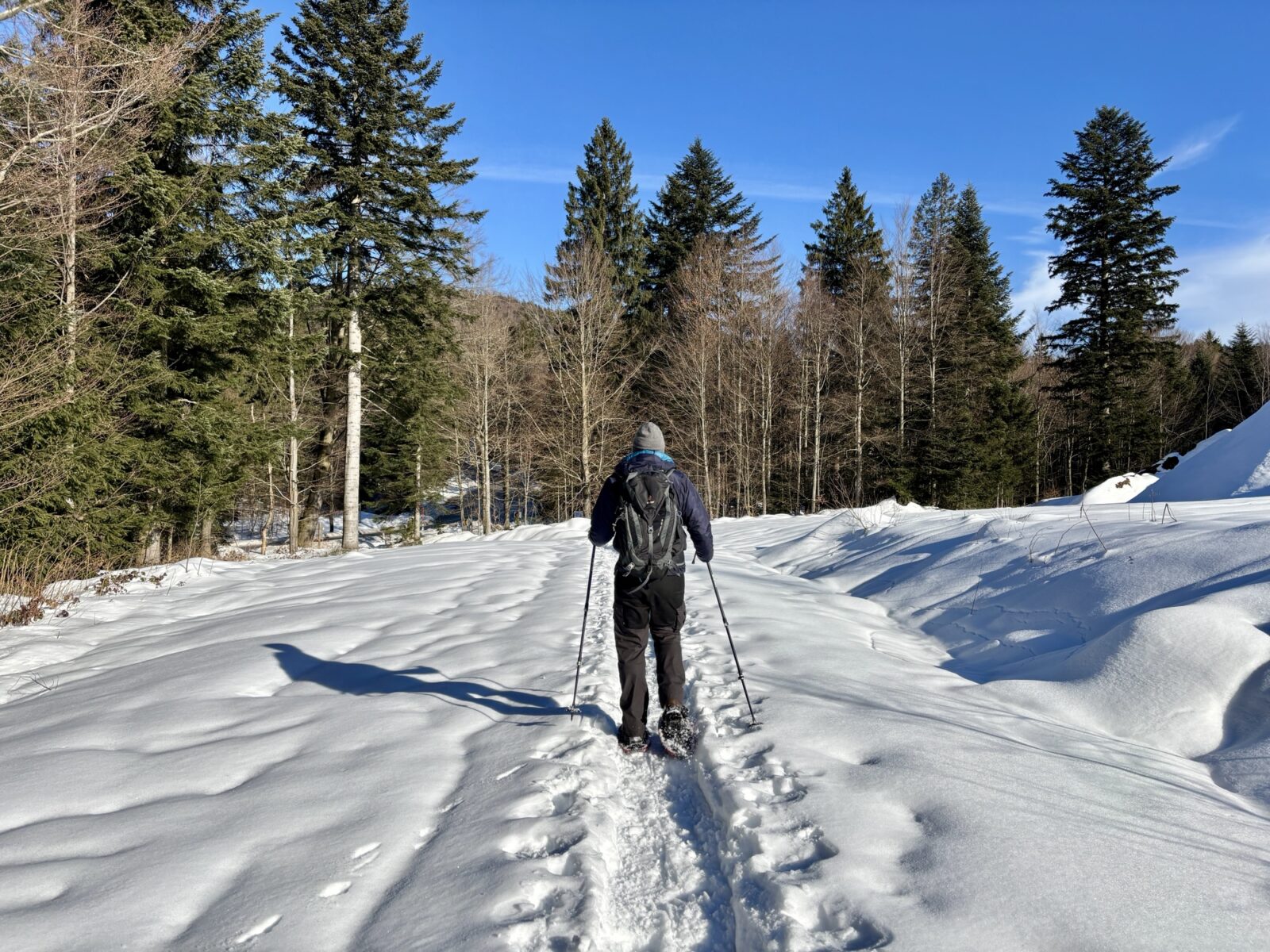 Schneeschuhwandern im Bayerischen Wald: Silberberg bei Bodenmais
