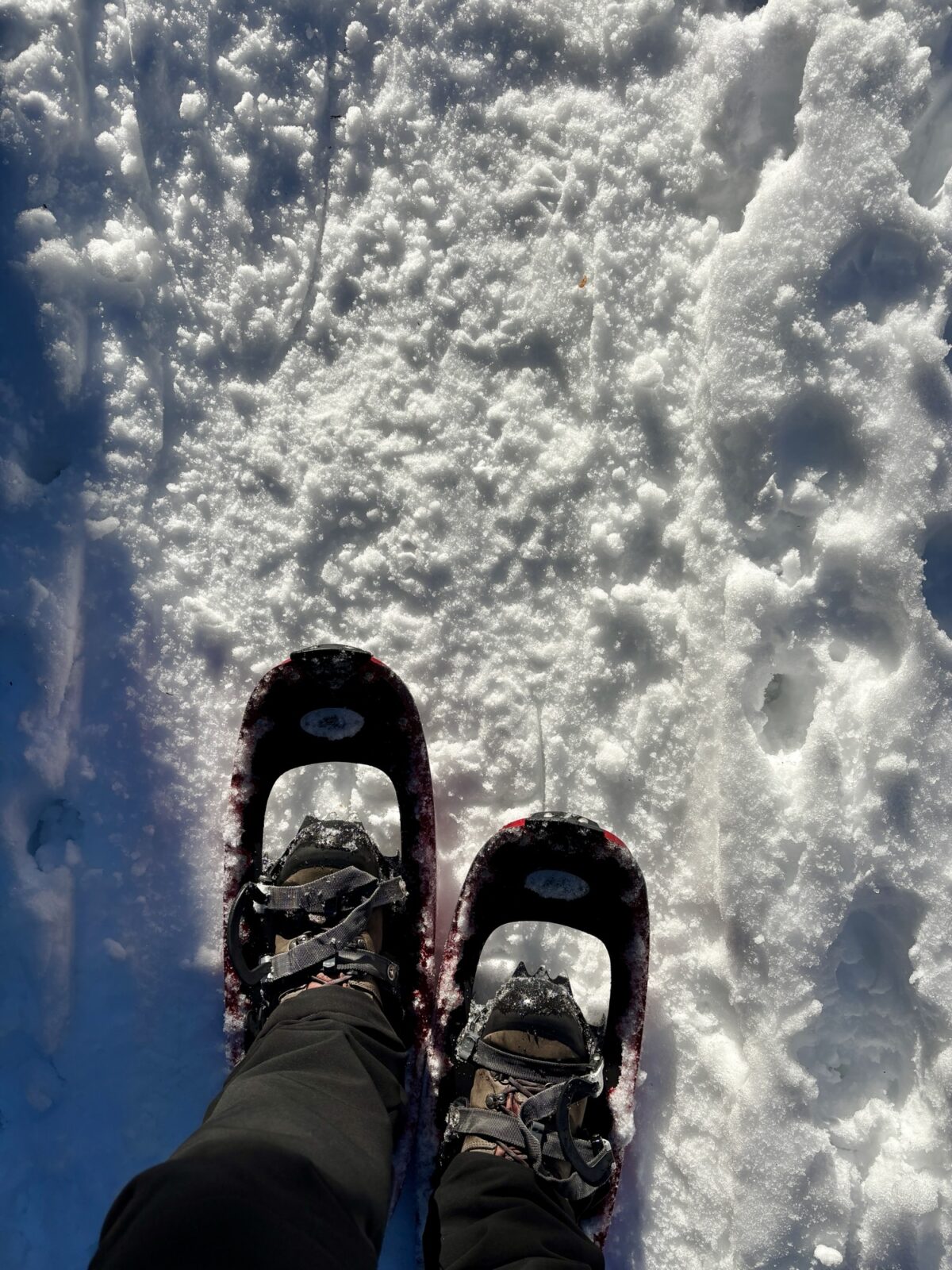 Schneeschuhwandern im Bayerischen Wald: Silberberg bei Bodenmais