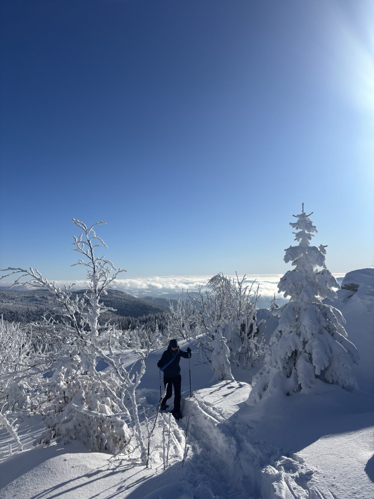 Schneeschuhwandern im Bayrischen Wald: Charmer Hütte und Kleiner Arber