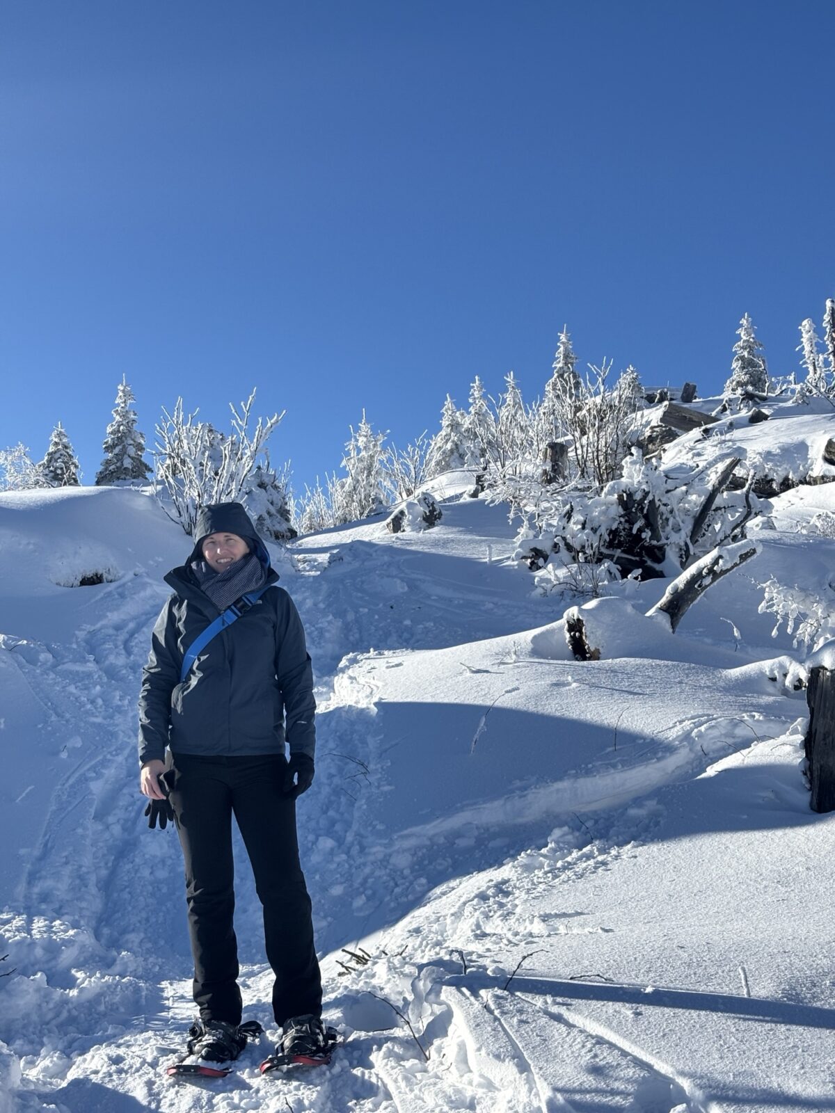 Schneeschuhwandern im Bayrischen Wald: Charmer Hütte und Kleiner Arber