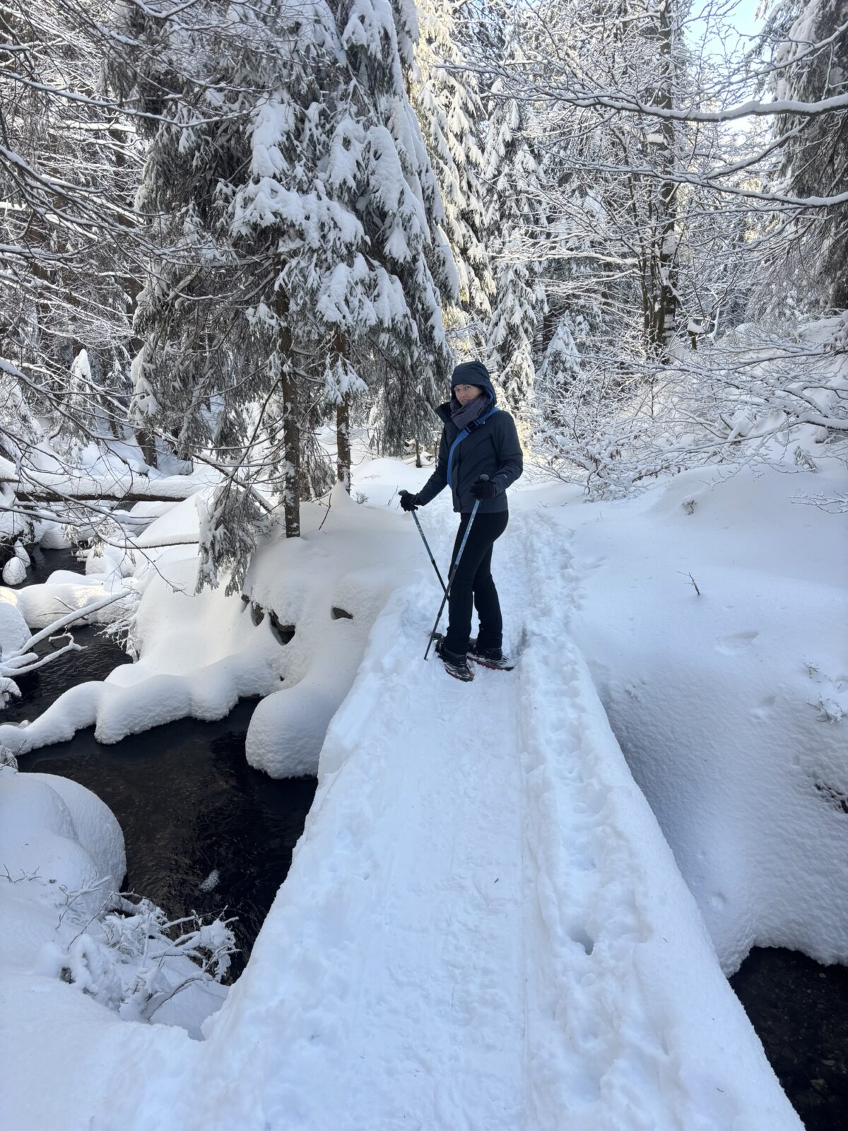Schneeschuhwandern im Bayrischen Wald: Charmer Hütte und Kleiner Arber