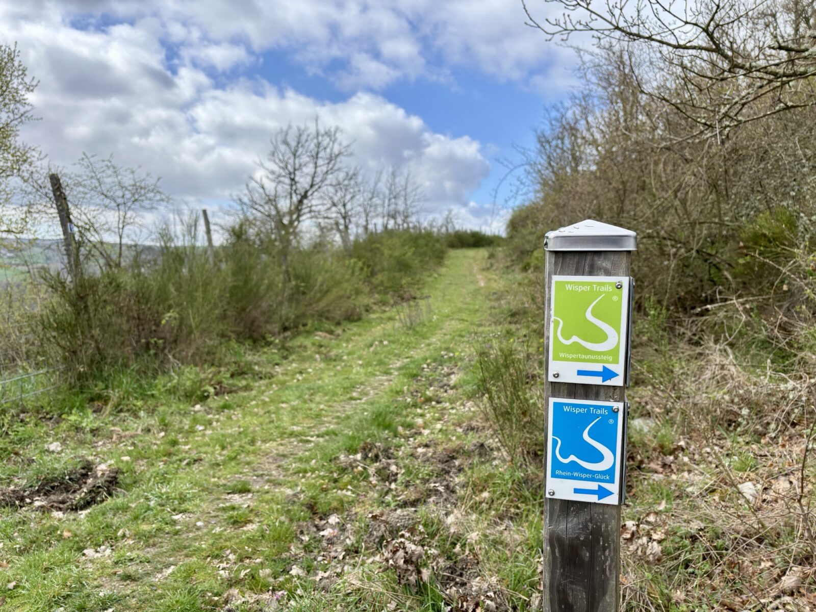 Wandern im Mittelrheintal: Rhein-Wisper-Glück bei Lorchhausen