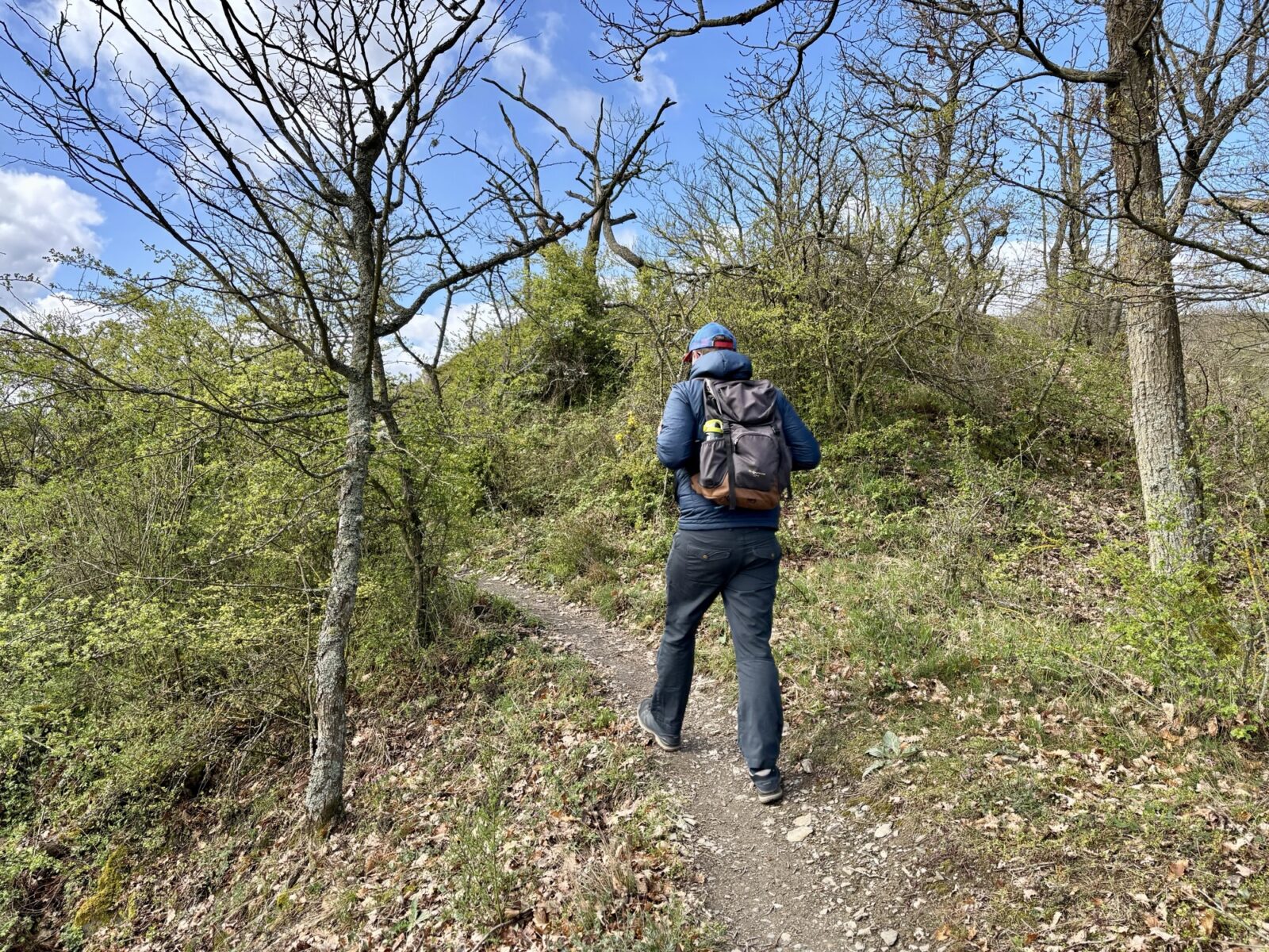 Wandern im Mittelrheintal: Rhein-Wisper-Glück bei Lorchhausen