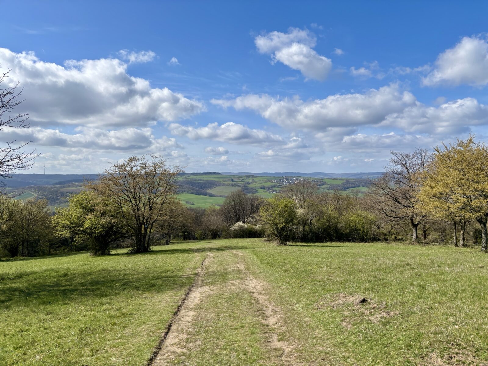 Wandern im Mittelrheintal: Rhein-Wisper-Glück bei Lorchhausen