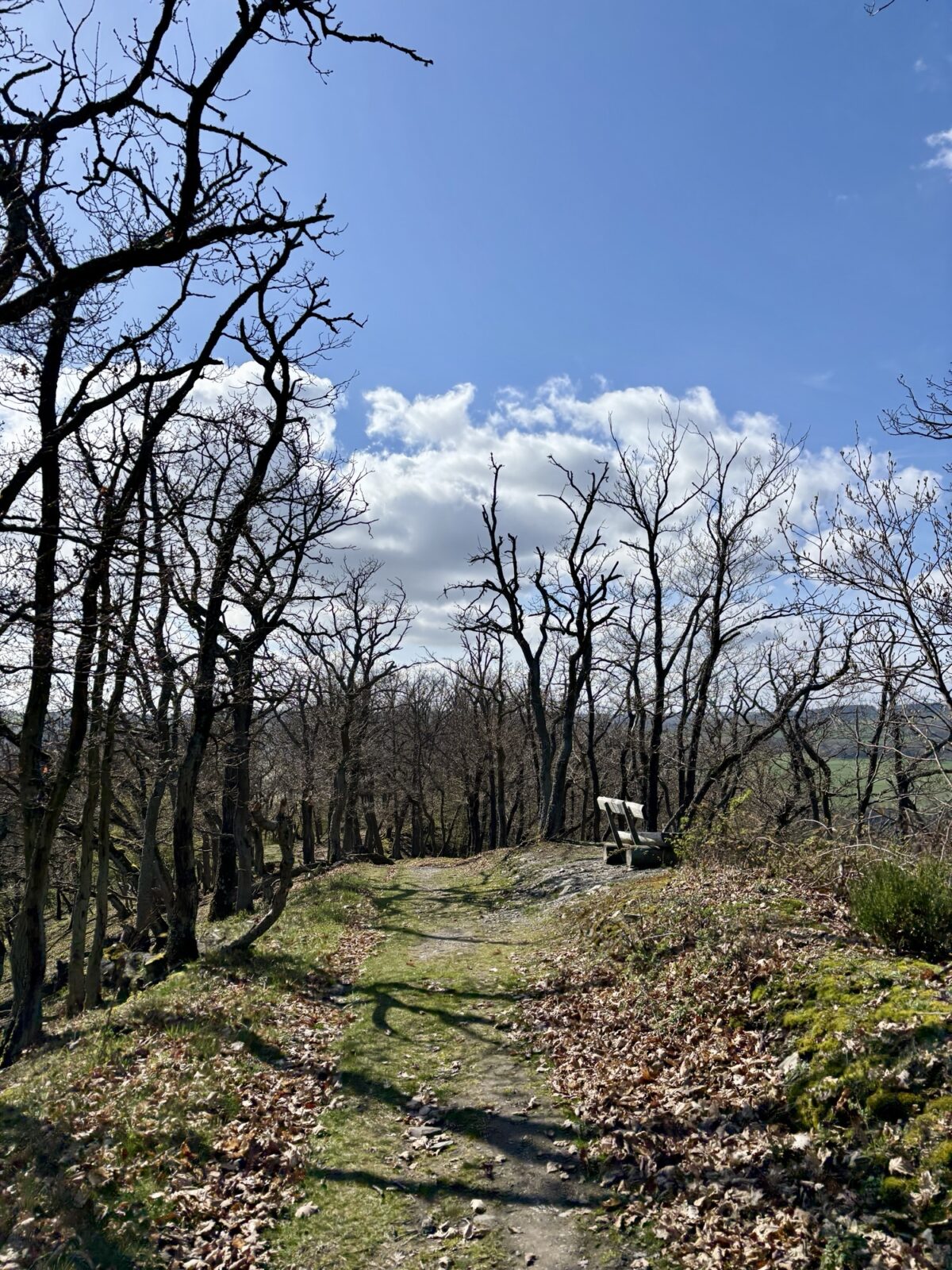 Wandern im Mittelrheintal: Rhein-Wisper-Glück bei Lorchhausen