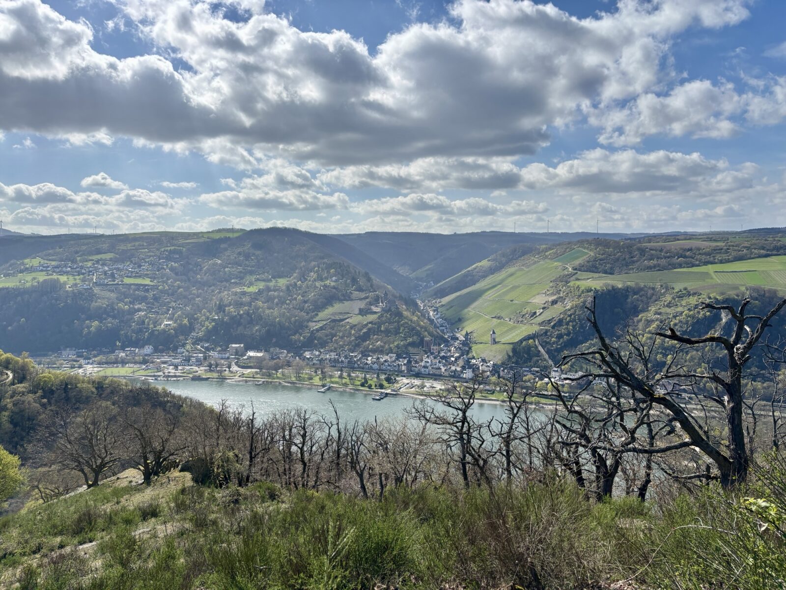Wandern im Mittelrheintal: Rhein-Wisper-Glück bei Lorchhausen