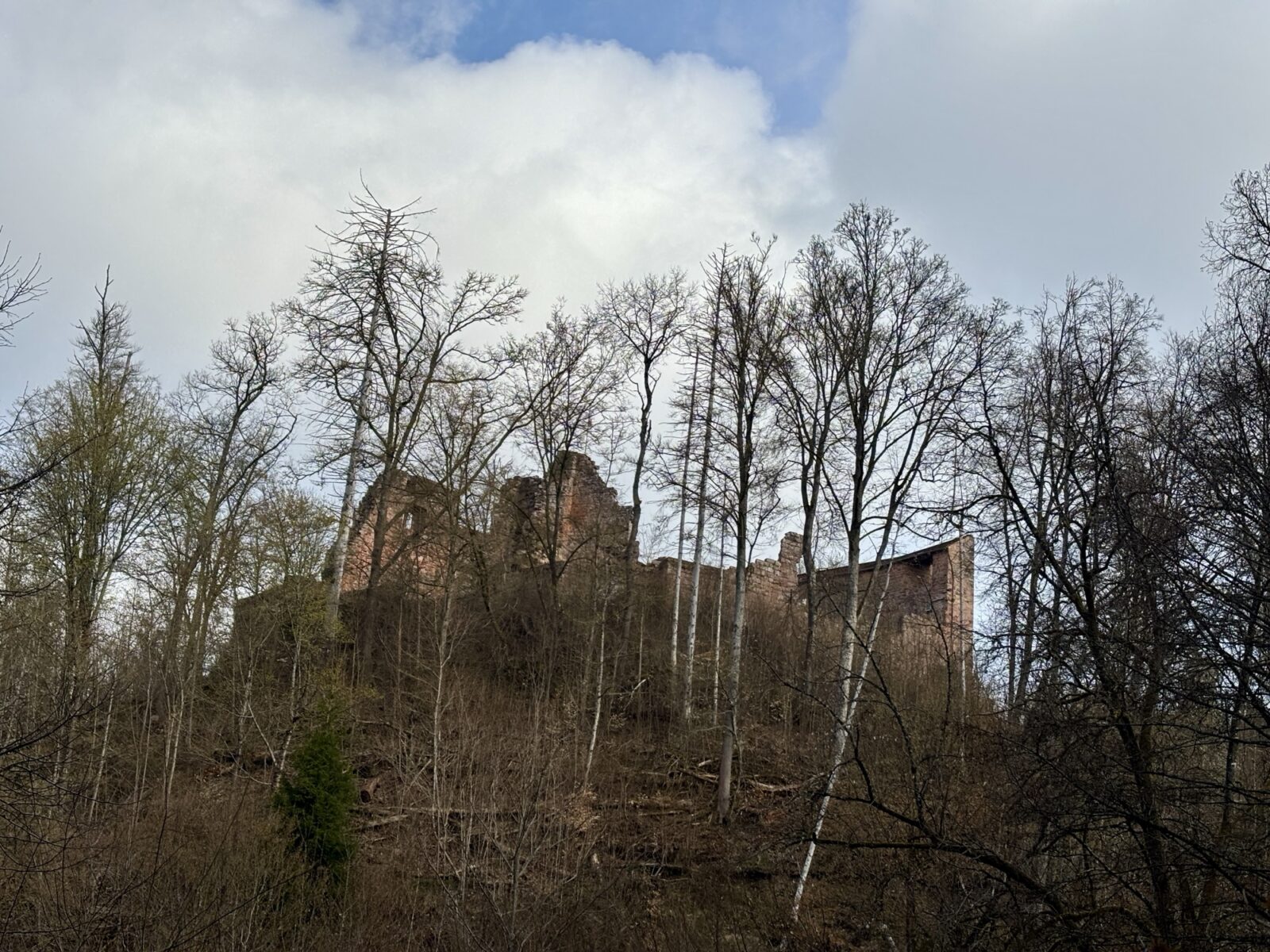 Wandern in der Pfalz: Rundwanderweg Karlstalschlucht bei Trippstadt