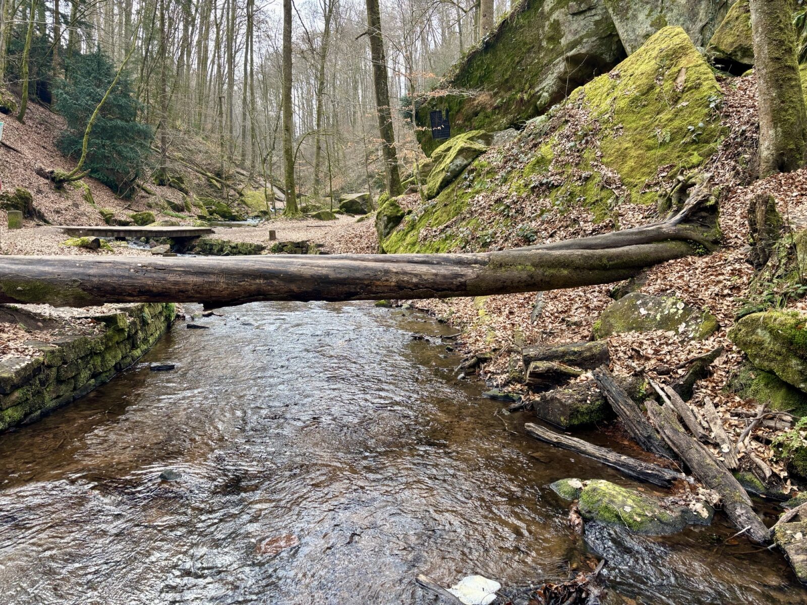 Wandern in der Pfalz: Rundwanderweg Karlstalschlucht bei Trippstadt