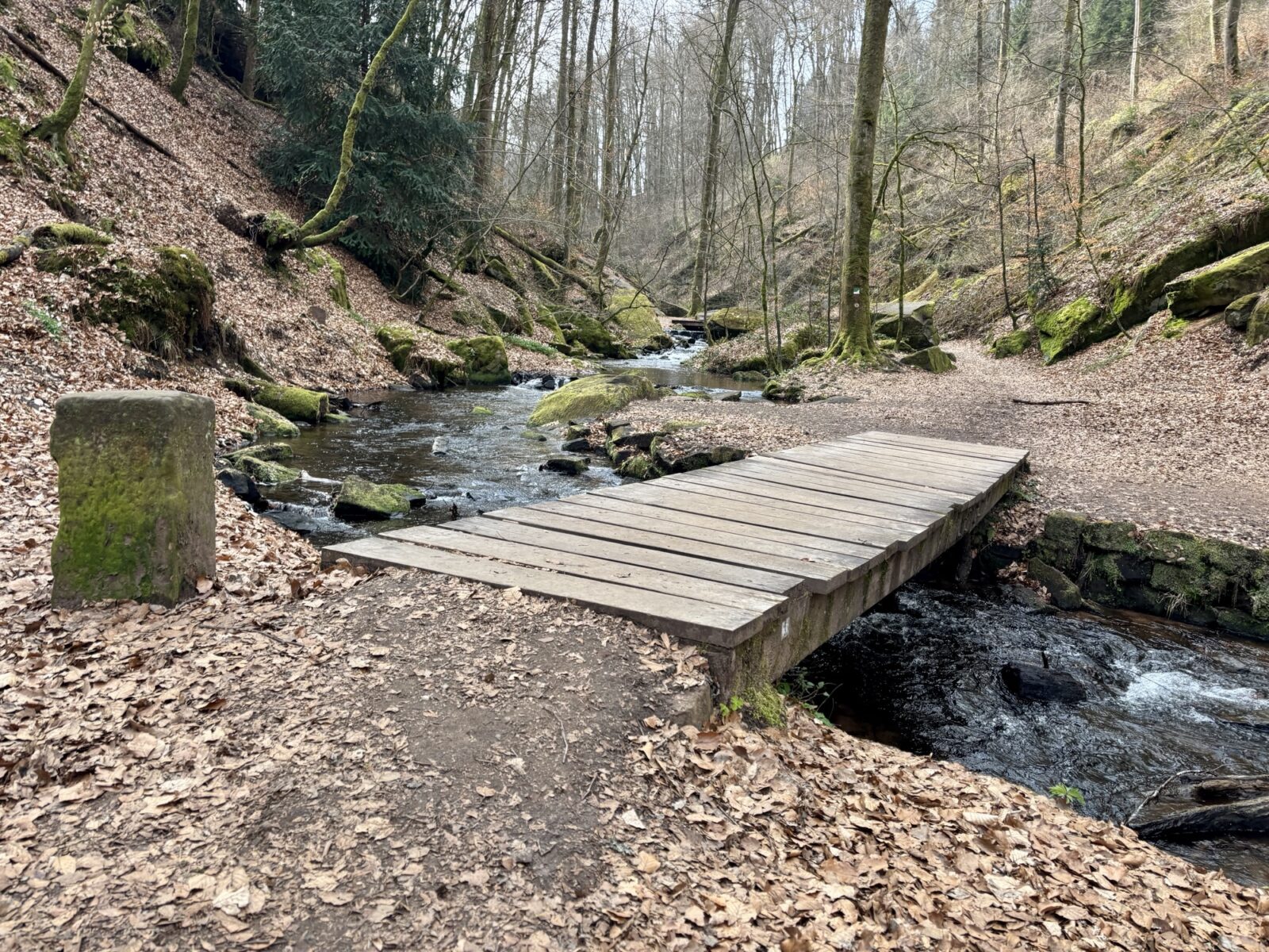 Wandern in der Pfalz: Rundwanderweg Karlstalschlucht bei Trippstadt