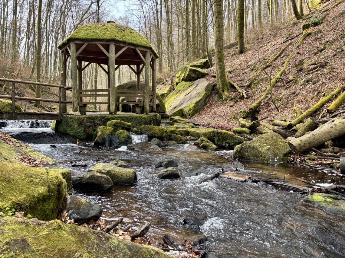 Wandern in der Pfalz: Rundwanderweg Karlstalschlucht bei Trippstadt