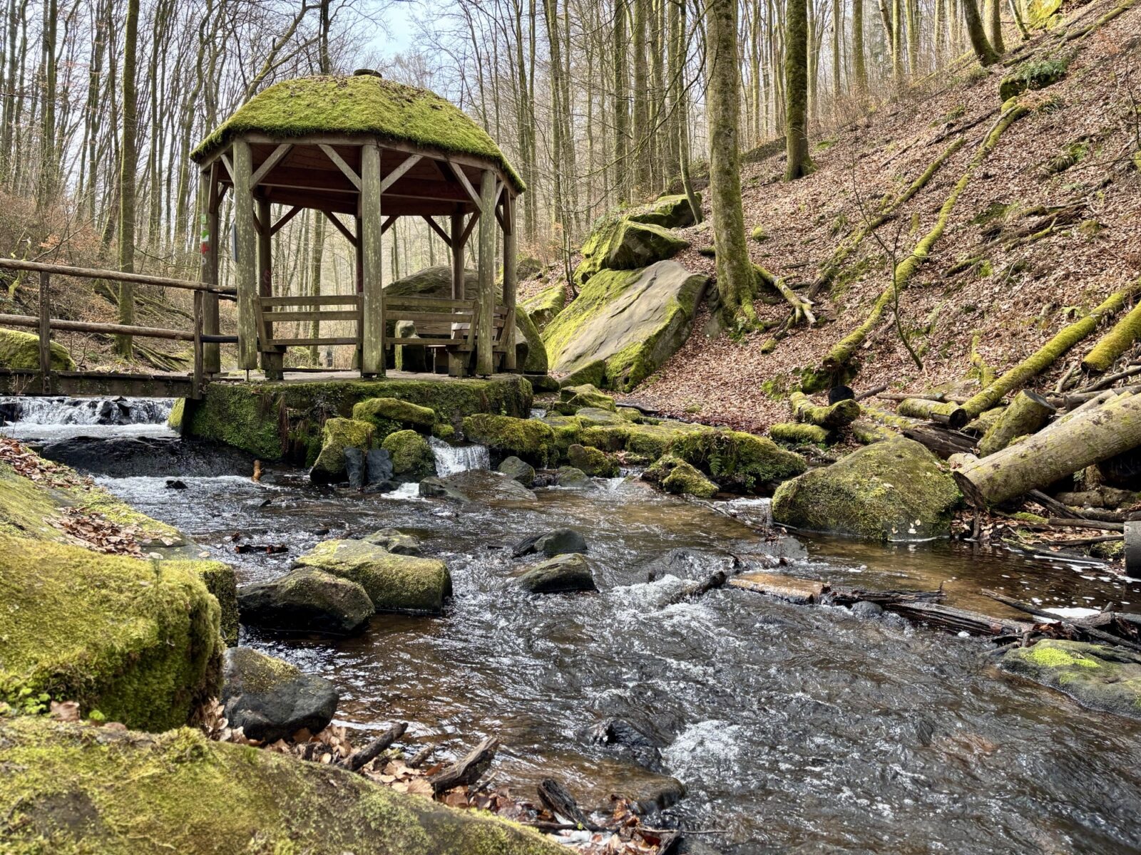 Wandern in der Pfalz: Rundwanderweg Karlstalschlucht bei Trippstadt