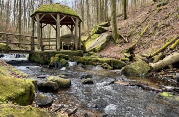 Wandern in der Pfalz: Rundwanderweg Karlstalschlucht bei Trippstadt