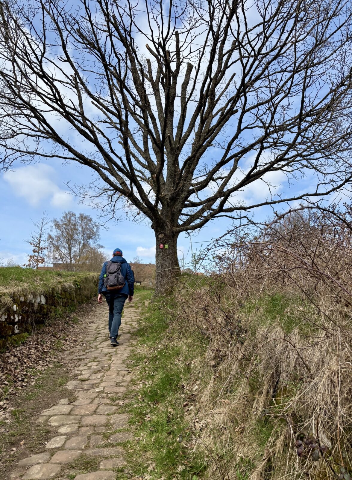 Wandern in der Pfalz: Rundwanderweg Karlstalschlucht bei Trippstadt