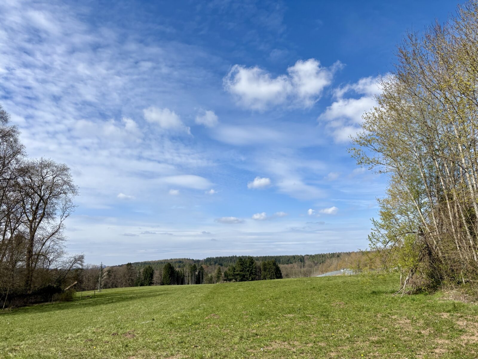Wandern in der Pfalz: Rundwanderweg Karlstalschlucht bei Trippstadt