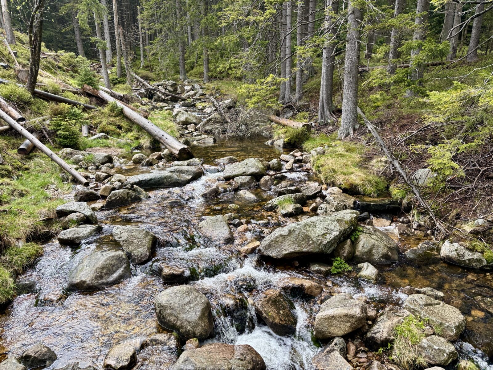 Wandern in Polen: Schneekoppe - Maly Staw - Stabskirche
