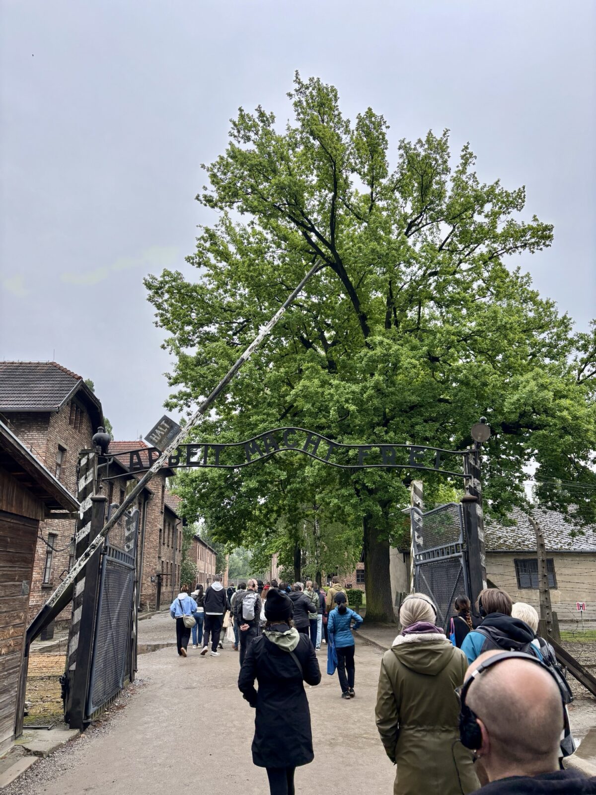 Roadtrip Polen: Auschwitz und Birkenau