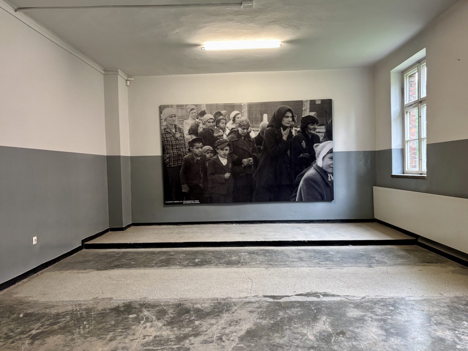 Roadtrip Polen: Auschwitz und Birkenau