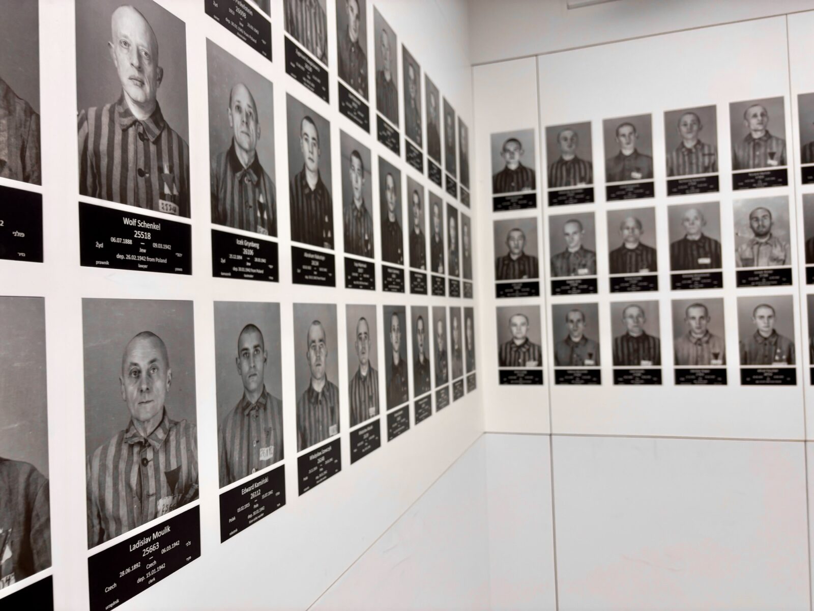Roadtrip Polen: Auschwitz und Birkenau