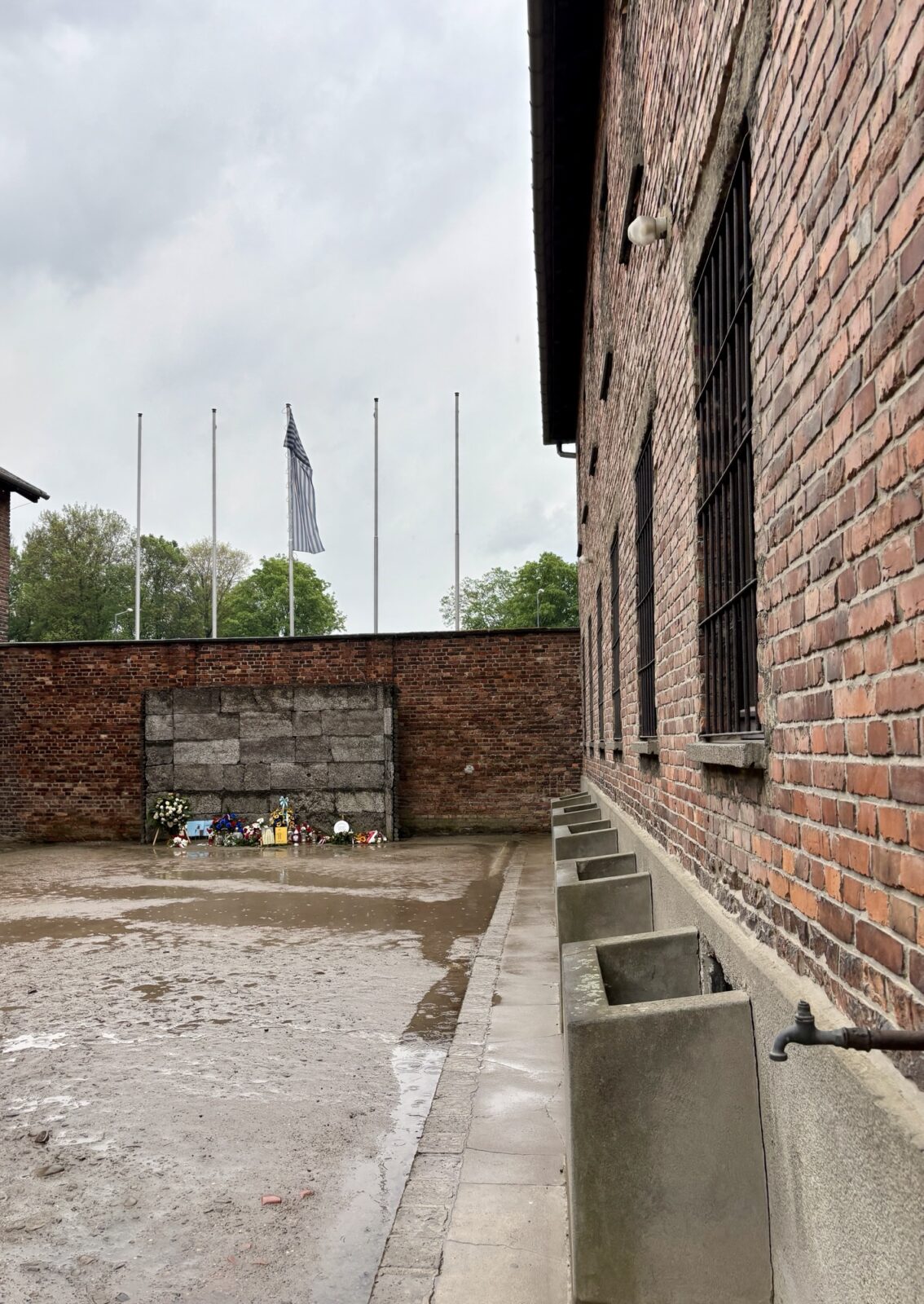 Roadtrip Polen: Auschwitz und Birkenau