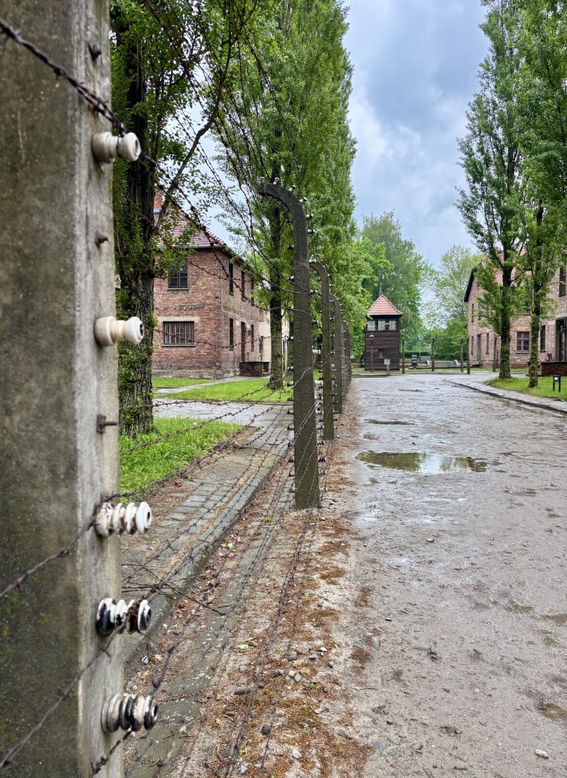 Roadtrip Polen: Auschwitz und Birkenau