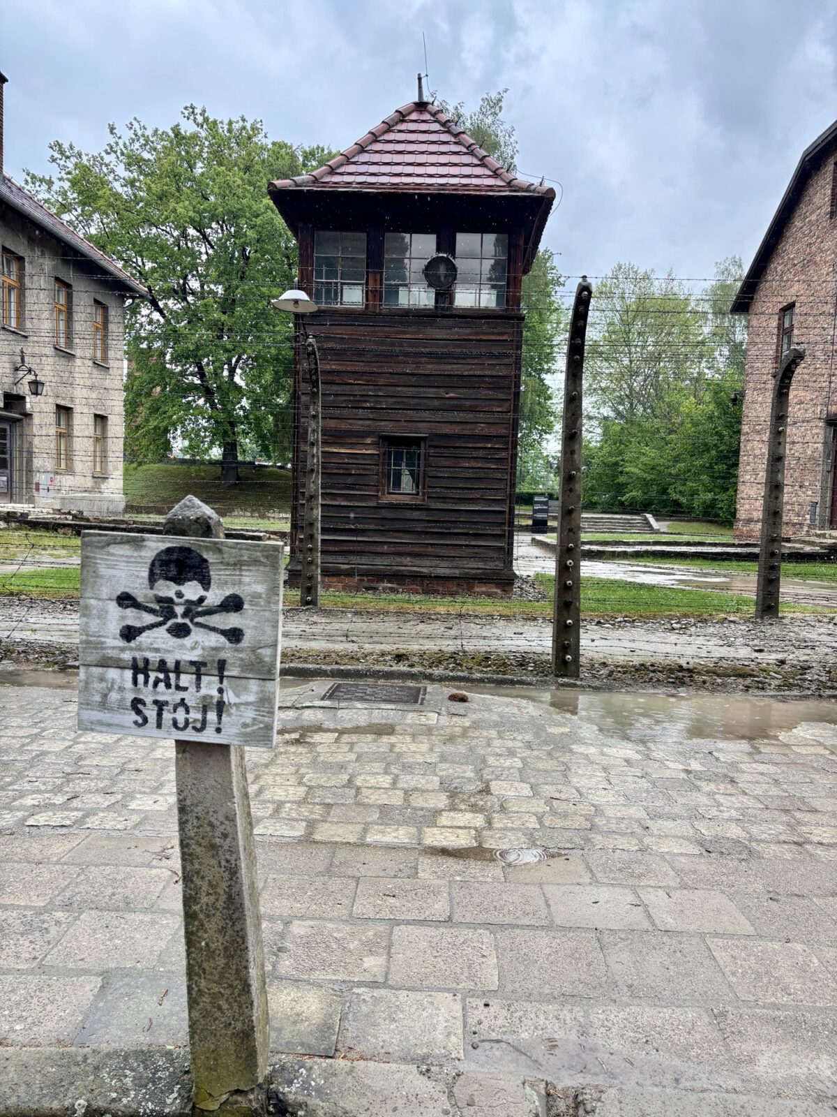 Roadtrip Polen: Auschwitz und Birkenau