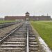 Roadtrip Polen: Auschwitz und Birkenau