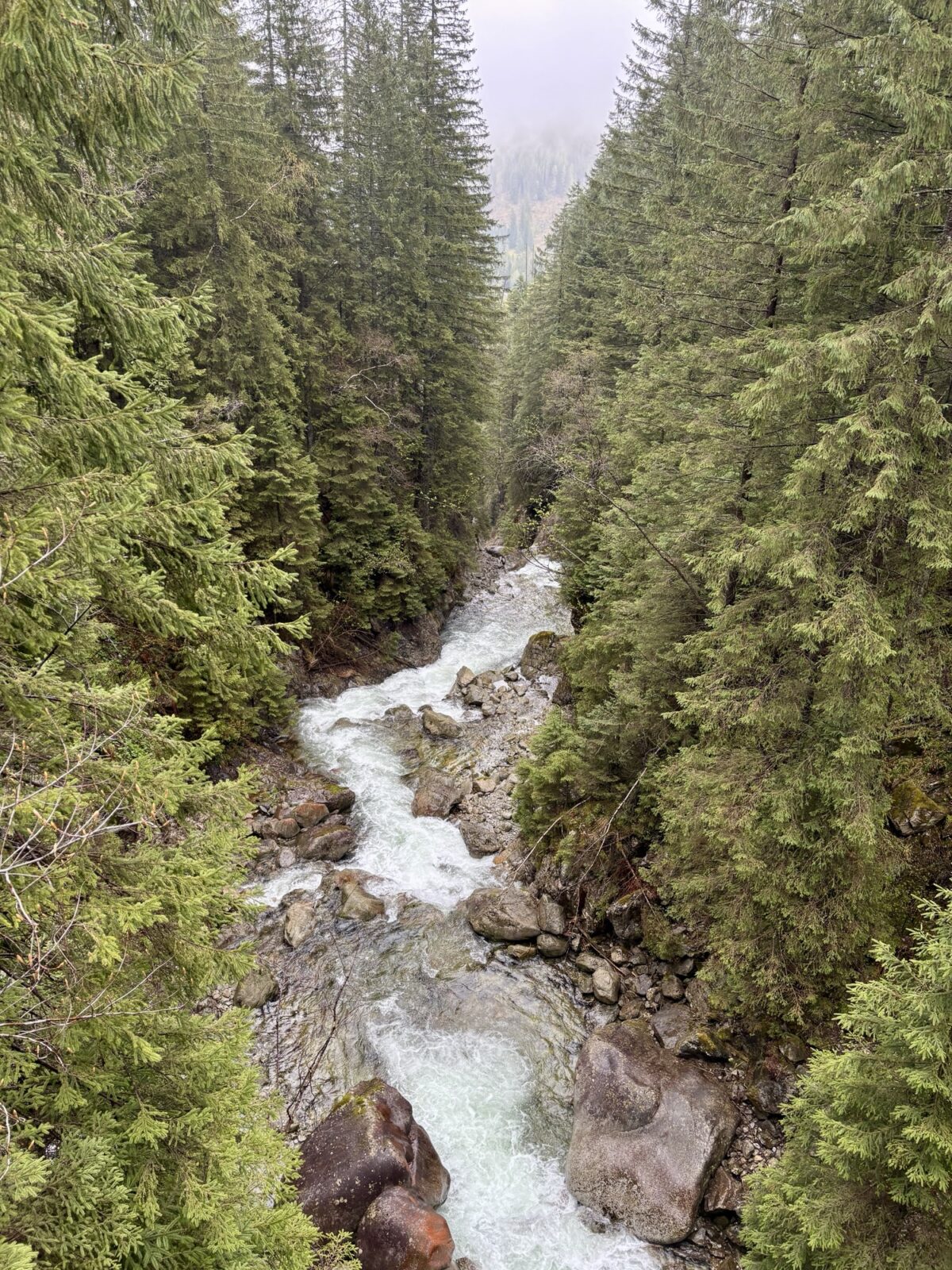 Wandern in Polen: Von Palenica Bialczanska zum Morskie Oko