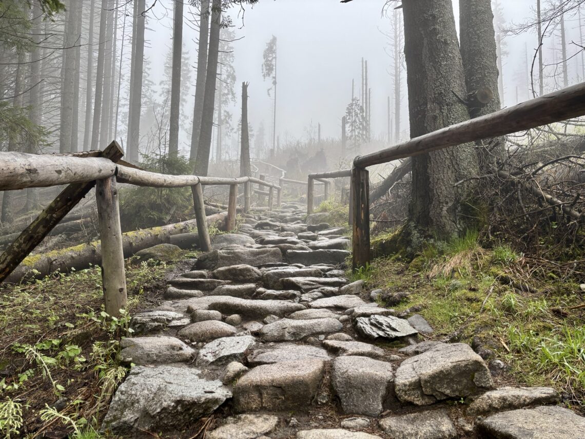 Wandern in Polen: Von Palenica Bialczanska zum Morskie Oko