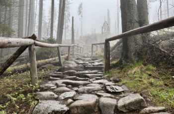 Wandern in Polen: Von Palenica Bialczanska zum Morskie Oko