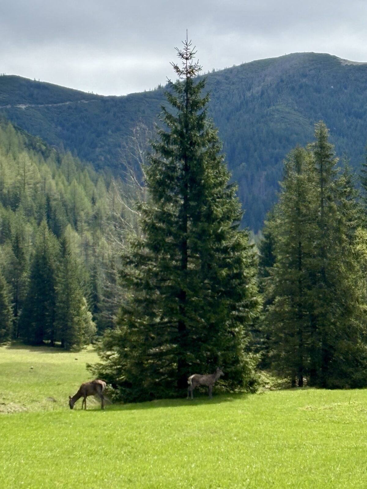 Wandern in Polen: Von Kusnice nach Murowaniec