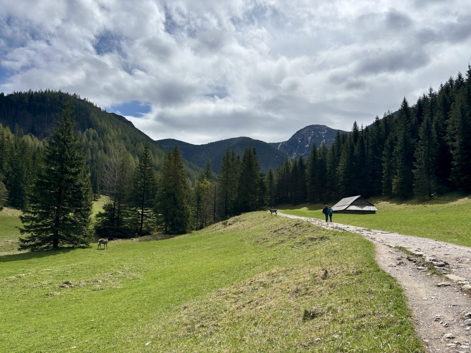 Wandern in Polen: Von Kusnice nach Murowaniec