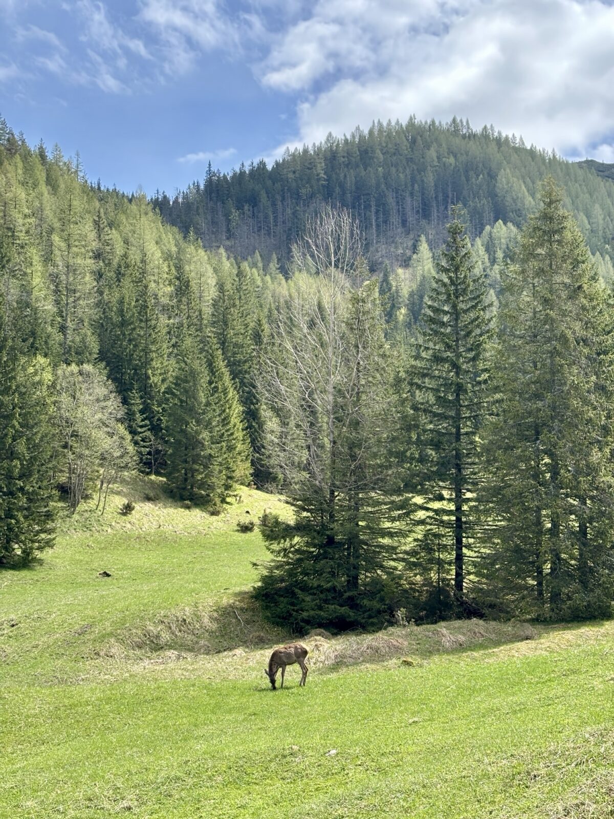 Wandern in Polen: Von Kusnice nach Murowaniec