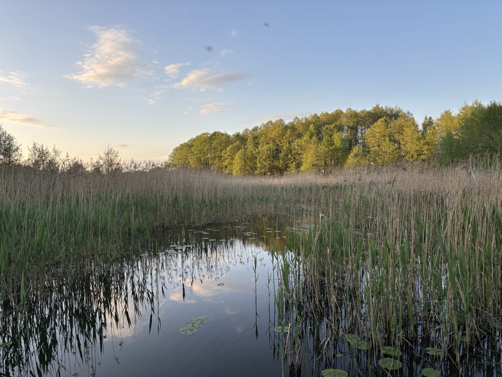 Bus-Abenteuer: Agroturystyka Nostalgia przy Kurhanie in Polen